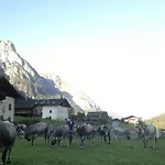 Alfaierhof-bergheimat 4*