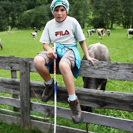 Alfaierhof-bergheimat Pensión Gschnitz