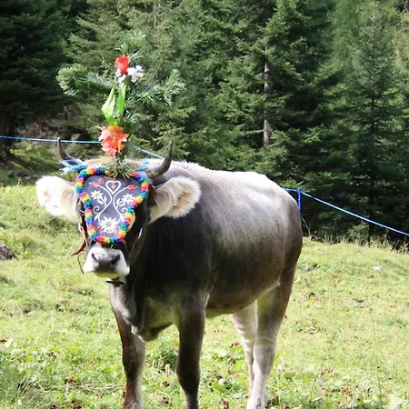 Pensión Alfaierhof-bergheimat 4*