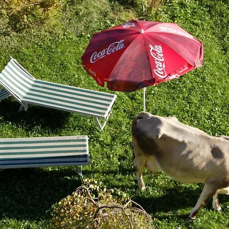 Alfaierhof-bergheimat Pensión 4*