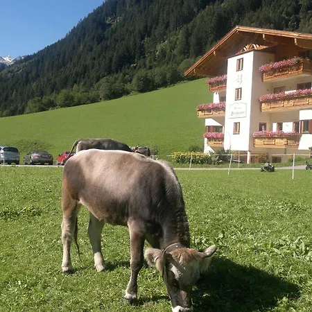 Pensión Alfaierhof-bergheimat 4*