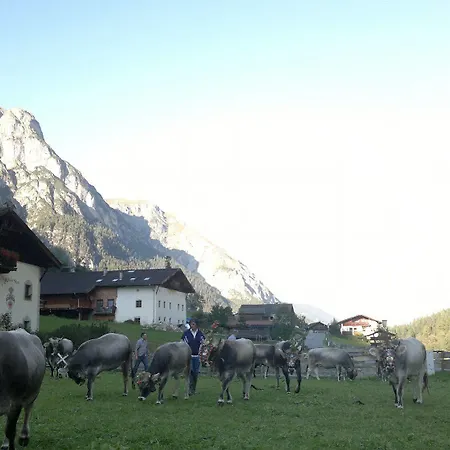 Alfaierhof-bergheimat 4*
