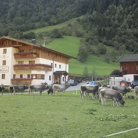 Alfaierhof-bergheimat 4*