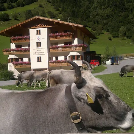 Alfaierhof-bergheimat 4* Gschnitz