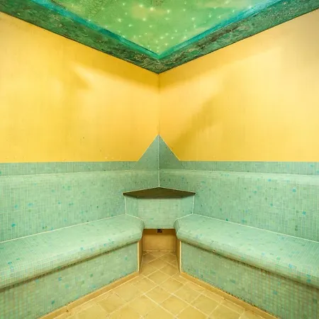 阿尔菲霍夫博马特酒店 格施尼茨